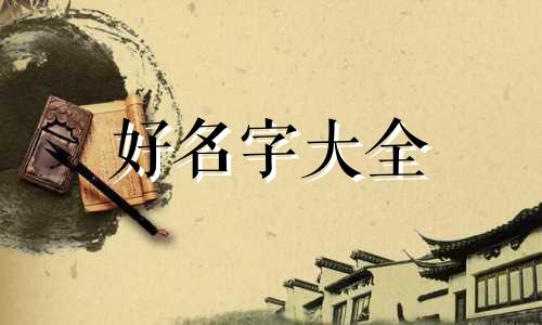 黑白相间小猫咪如何起名