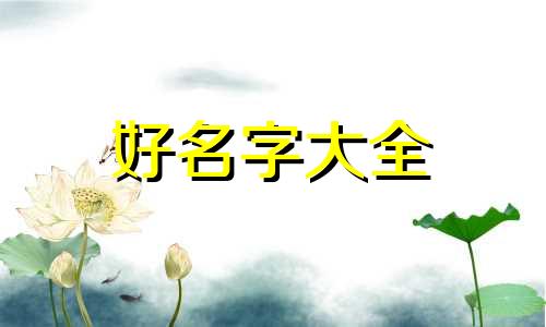 如何给丫头起名字男孩子