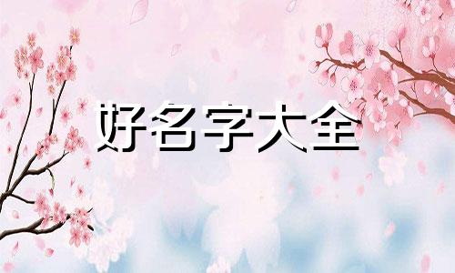 如何给焦糖色衣服起名字