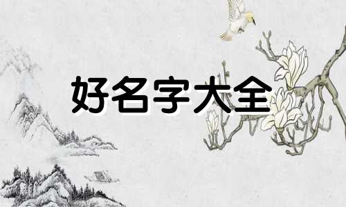 杨姓和王姓的婚配如何起名