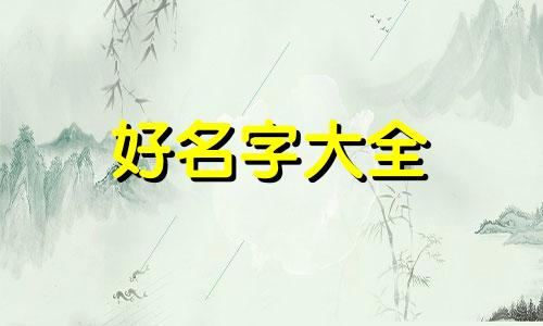 如何给小比熊起名字女