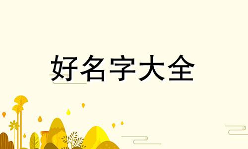 如何给宠物服装做品牌起名称