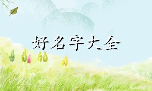 如何用沈字起名字好听男孩