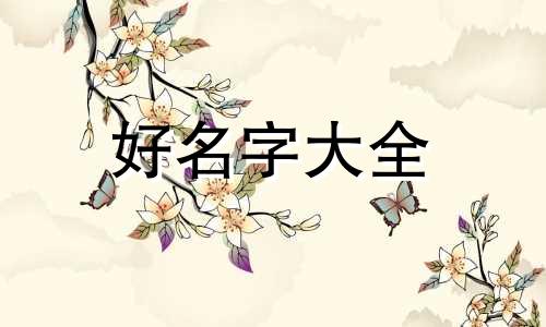 遇见你的猫如何起名字女生