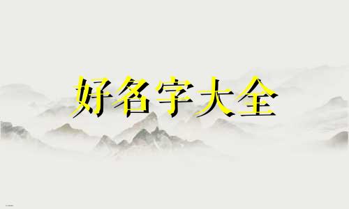 如何给自己的兽兽起名字