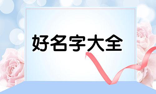 猫舍如何起名字呢大全图片