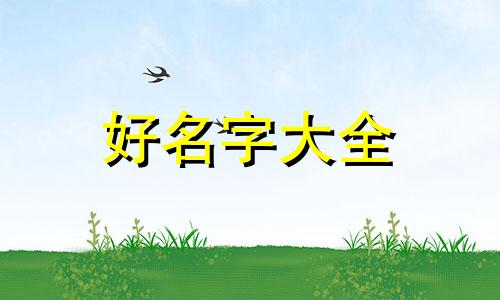 如何给泰山石起名字呢女生