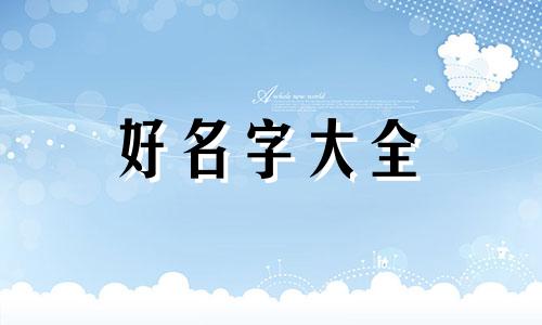 写字类主播如何起名字呢