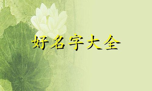 如何给咖哩饭店起名字呢