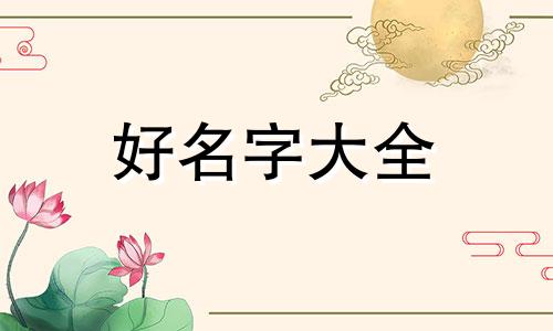 究极绿宝石如何起名字