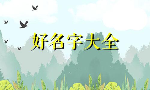 如何给刚出生的宝宝起名称