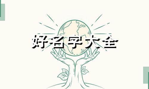 两个门面如何宠物店起名