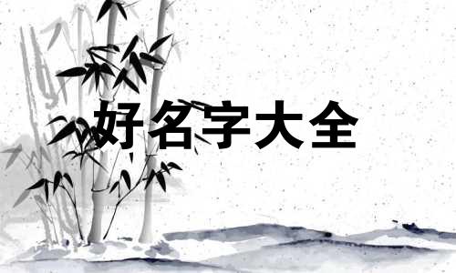 比熊如何起名好听一点的名字