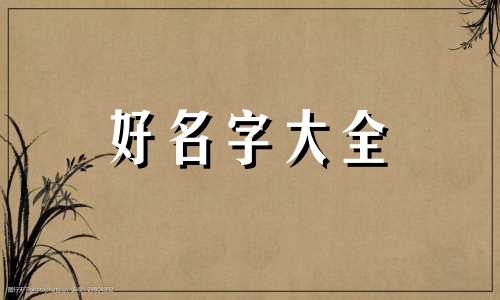 做一家睫毛店如何起名字