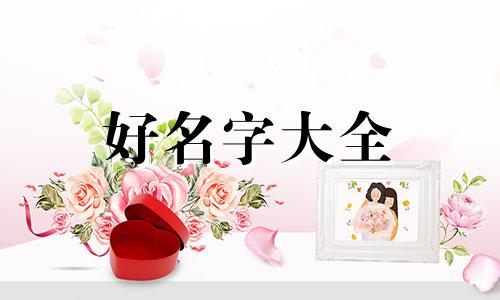 家里有三只狗如何起名字