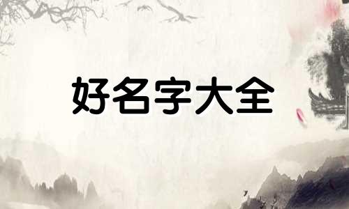 大儿史振宇给二儿如何起名