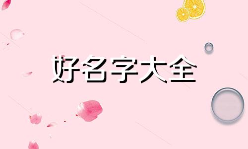 如何给宠物龟起名子两个字