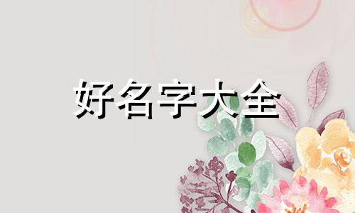 如何给小菜园子起名字好听