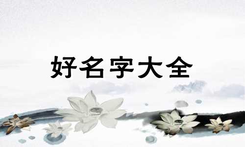 生活用品博主如何起名字