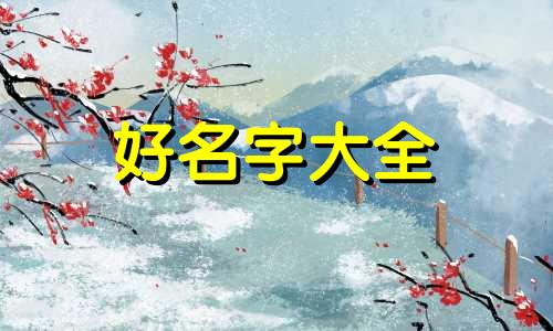 起名字如何发圈吸引人呢