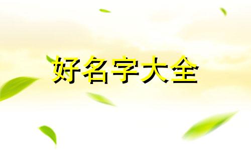 双胞胎兄弟该如何起名字才好