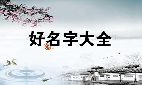 太极拳爱好者如何起名字