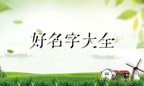 回收报废轮胎如何起名称呢