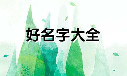 水稻如何起名称呢好听一点