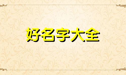 小毛驴该如何起名称和寓意