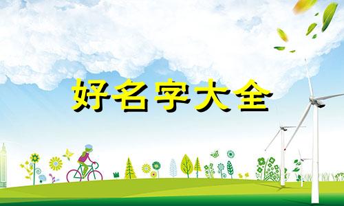 战姓加张姓如何起名字男孩