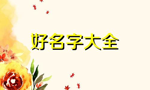 如何给篮球鞋起名好听一点