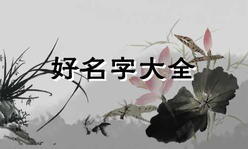 双胞胎巴西龟如何起名字