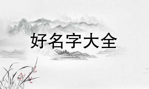 美国人如何给店起名字的