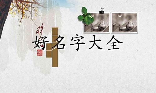 托管有限公司如何起名字好听