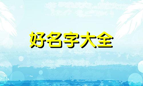 如何用李取名字男孩子起名