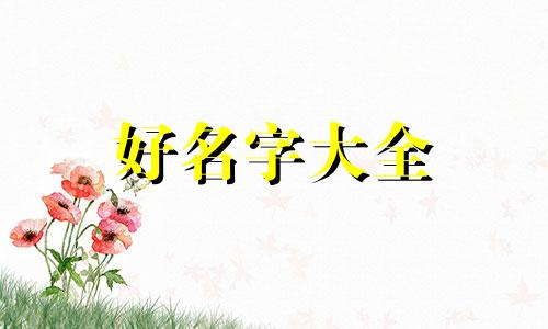 郎字取名如何起名字好不好