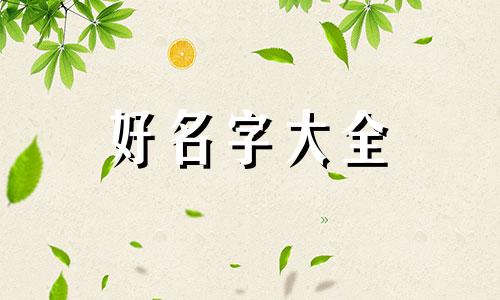 电子厂如何起名称好听呢