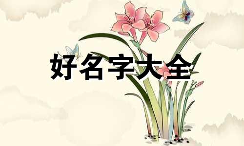 吴礼如何起名好听一点的字