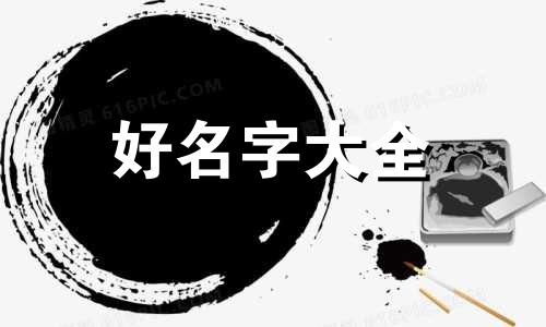 领养猫如何起名字好听一点