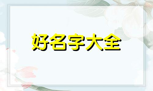 属龙如何起名字大全女孩子