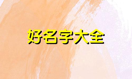 小学生都是如何起名字的呢