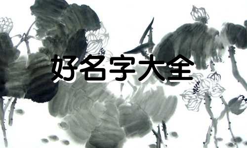 地锅鸡店如何起名字呢大全