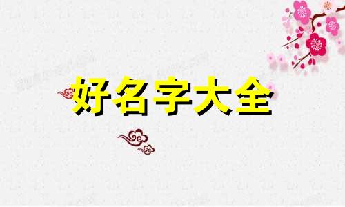如何给牛腩饭起名字呢英语
