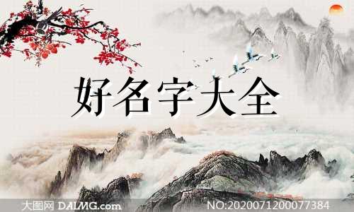 如何给碗莲起名字大全好听