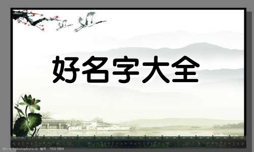如何做电商服装代理商起名