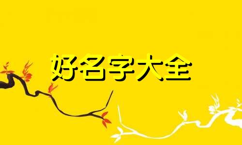 如何自动起名字好听一点