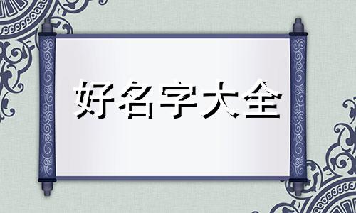 两只黑兔如何起名好听的名字