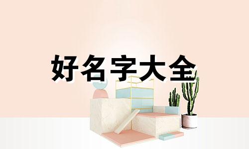 小院如何起名字大全好不好