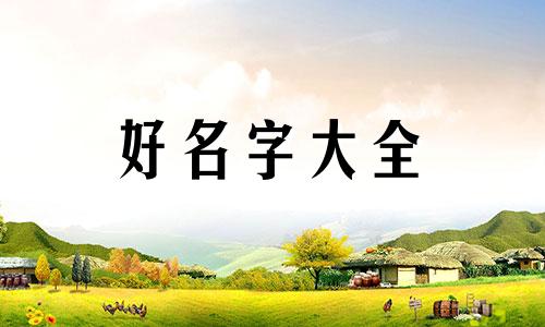 剁椒面馆如何起名字好听点