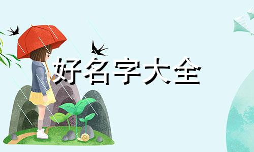 如何给一款饵料起名字大全